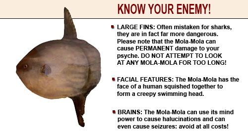 Mola-Mola - inkwaste